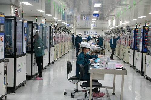 泰晶科技年报解读 净利暴增2.4倍背后的逻辑与行业新纪元